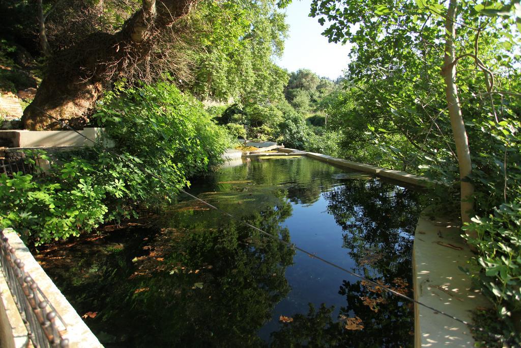 Villa Athina Aryiroúpolis Kamer foto